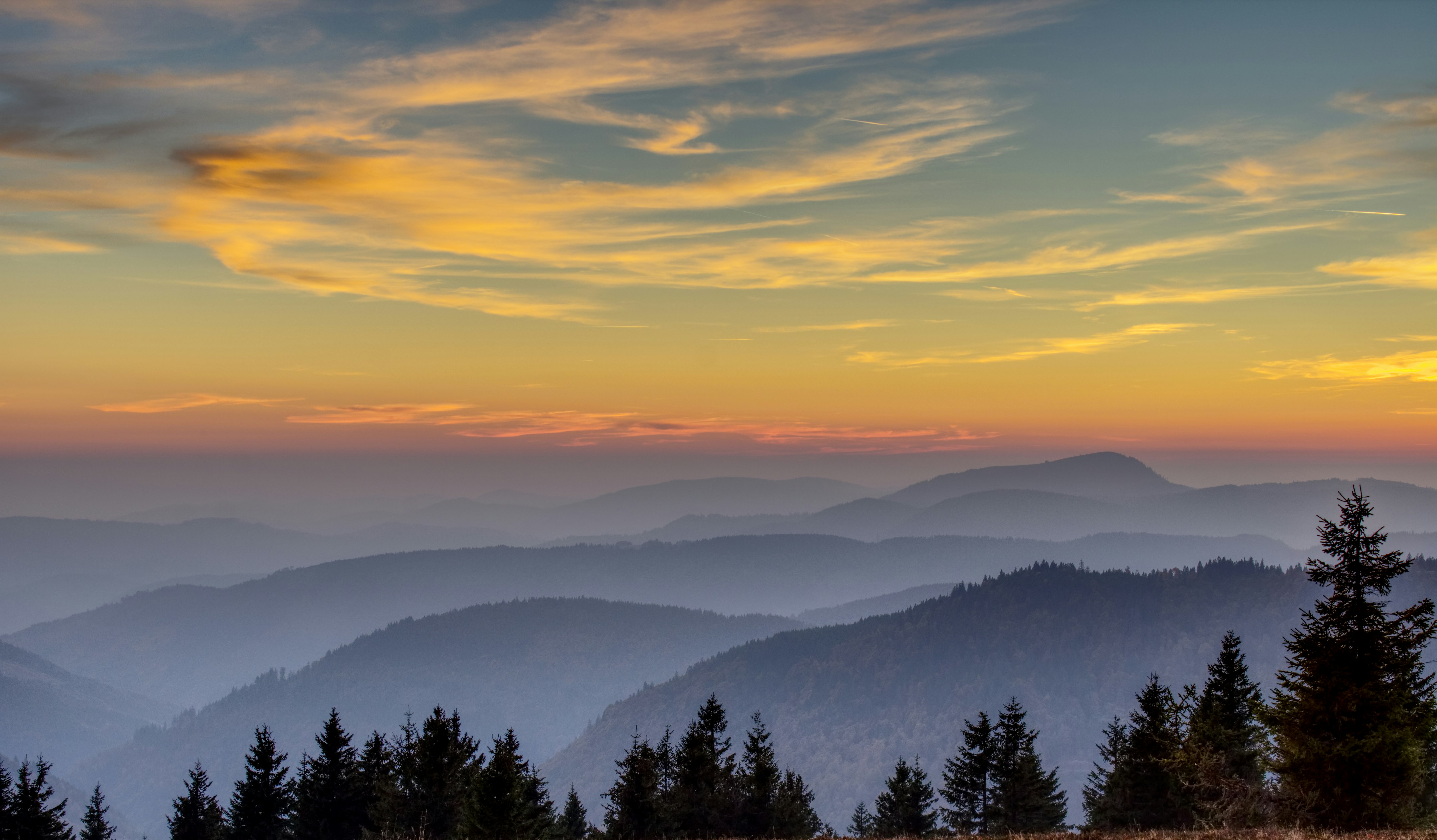 green trees on mountain during daytime